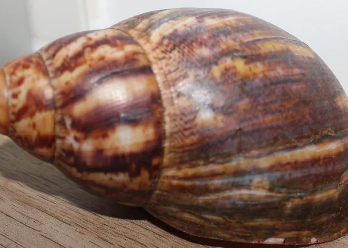 Lejlighed Groden4 Im Nordischen Stil Wangerooge